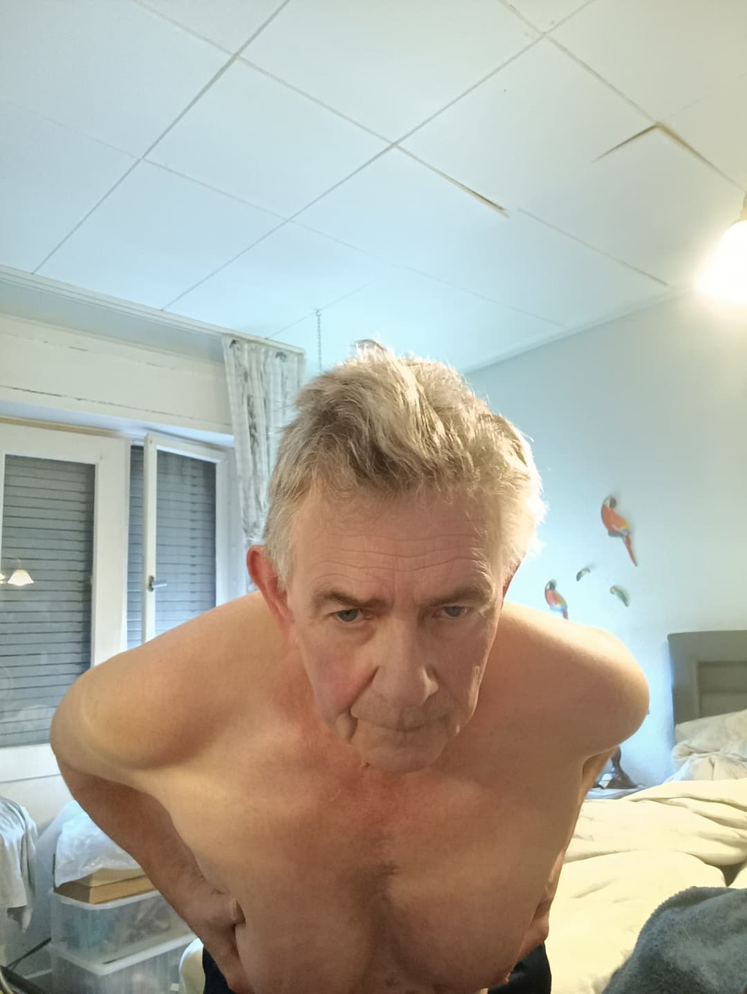 Michael Alexander, slut with breasts