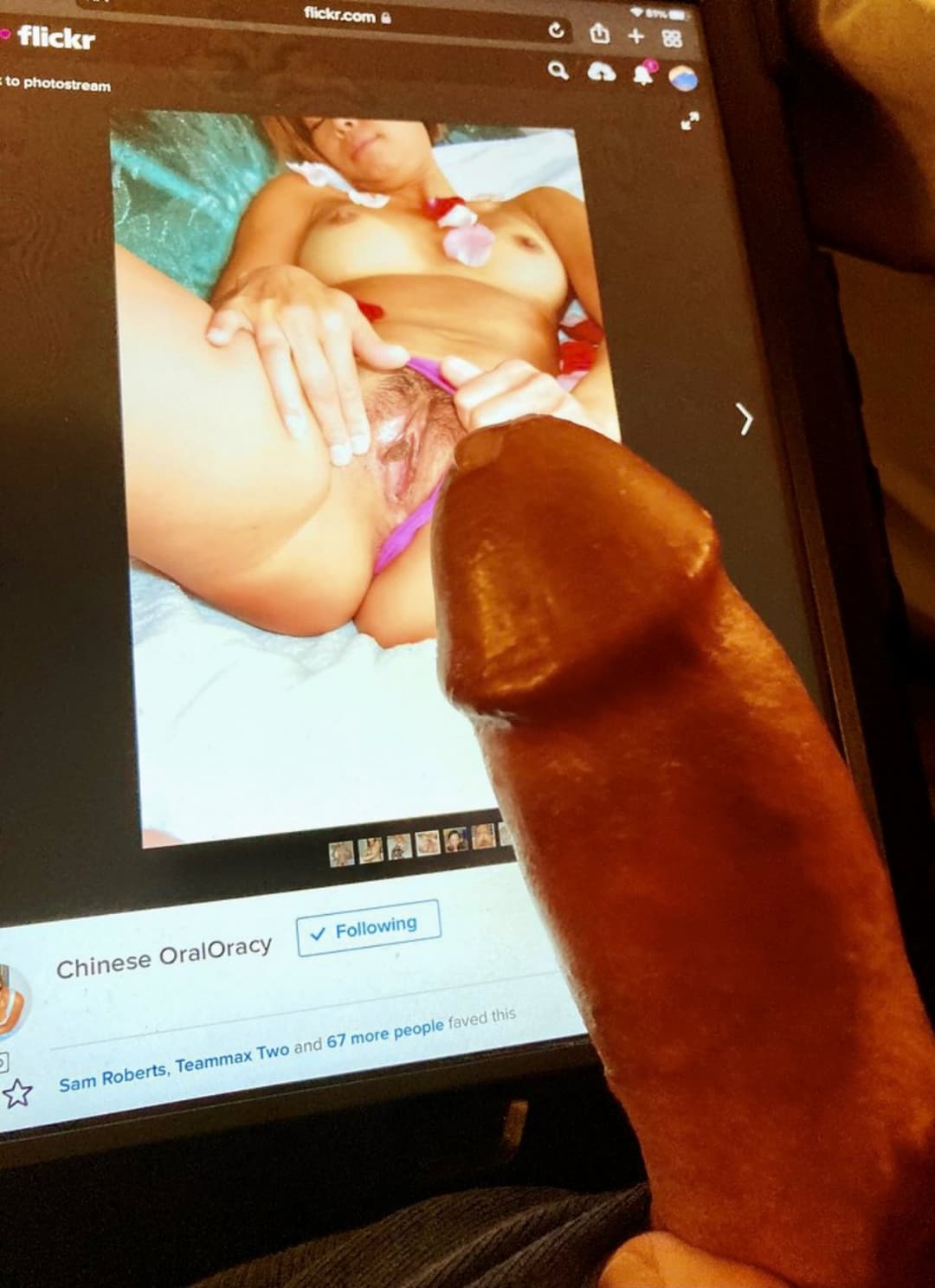 Asian wife, how many times have you jerked off to her?