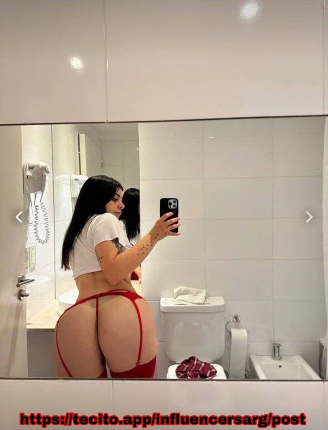 Milica argentina pendeja (nuevo en L1nk)