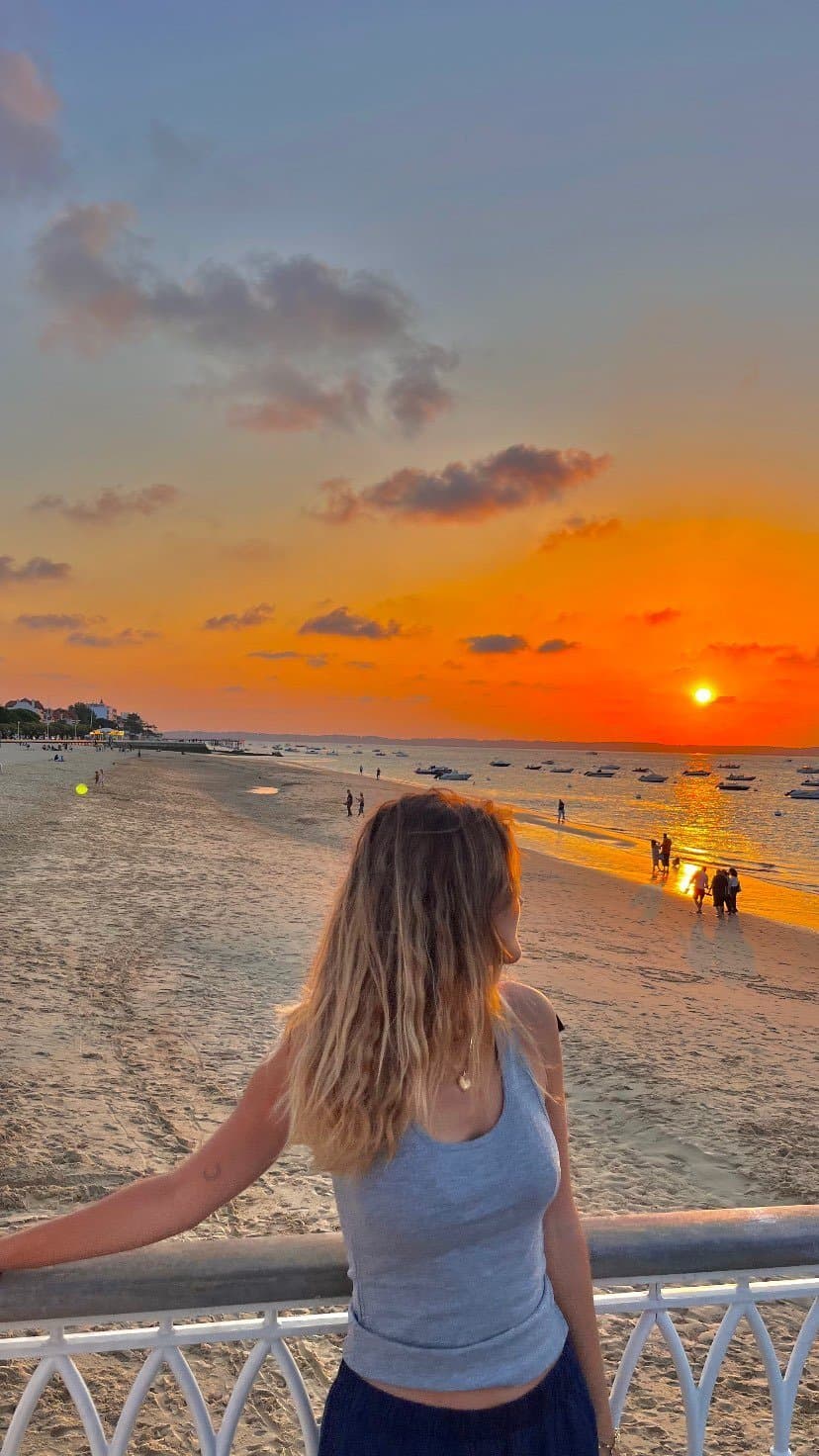 Chloé, grosse chienne française exposée
