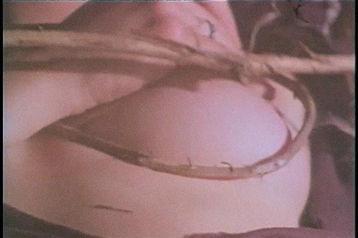 The Trees! They’re Alive!!! (Part 3)