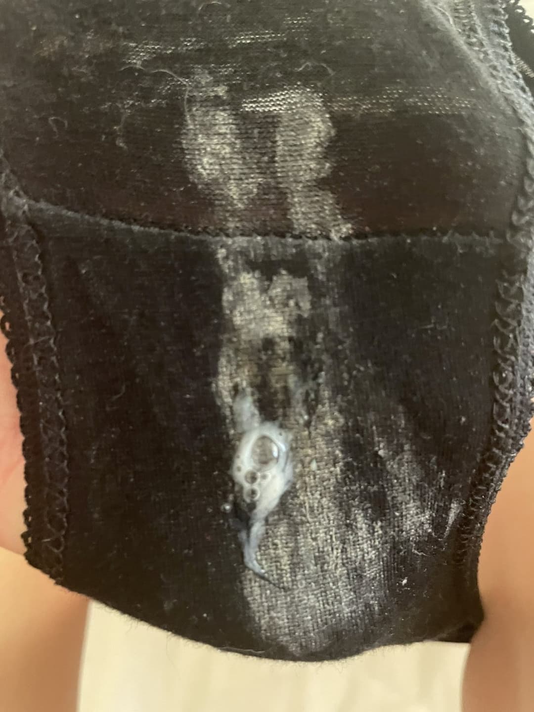 My lovely dear sister and her dirty  panties ??? if u want trib her and send me the results