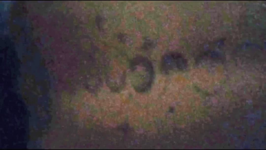 Argentina a esta putita le encanta la pija (resubido) primera parte. Escuchen como gime