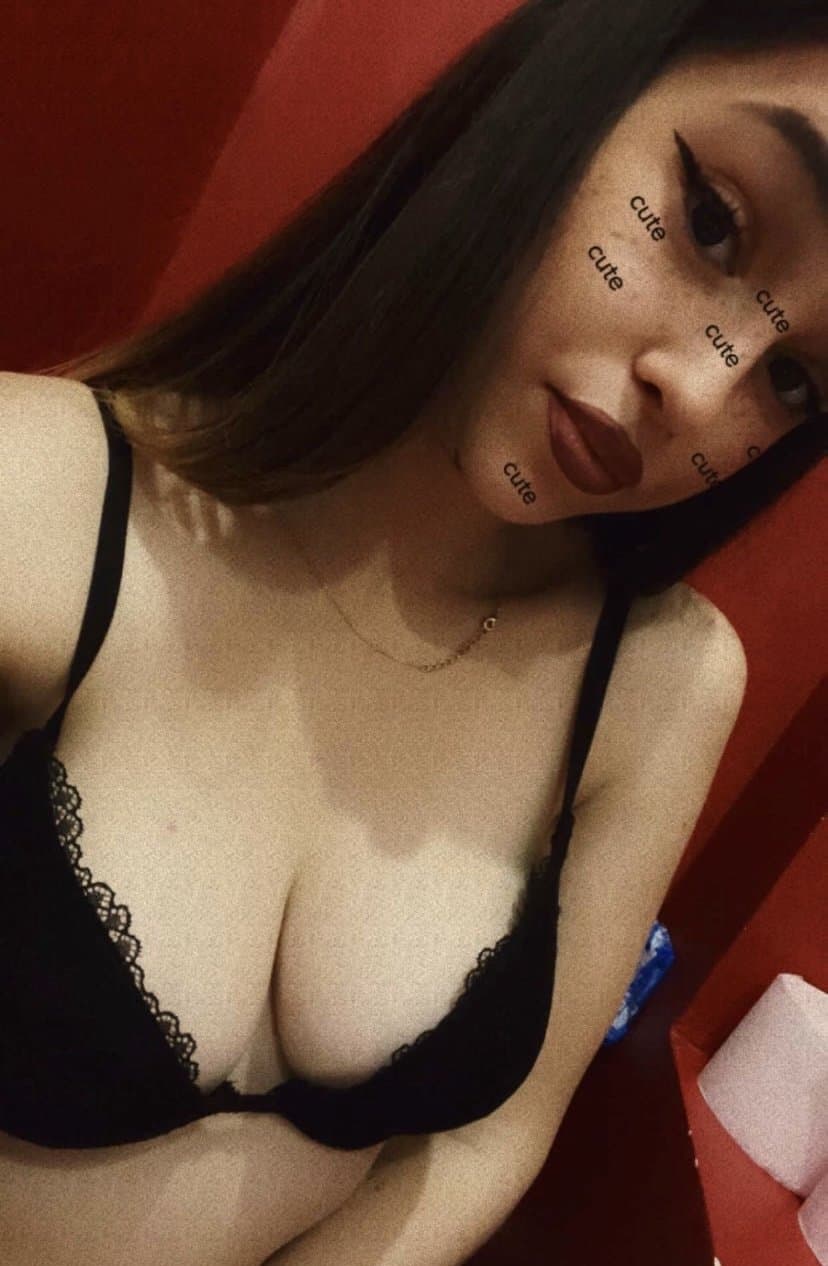 Belle petite chienne de Belgique