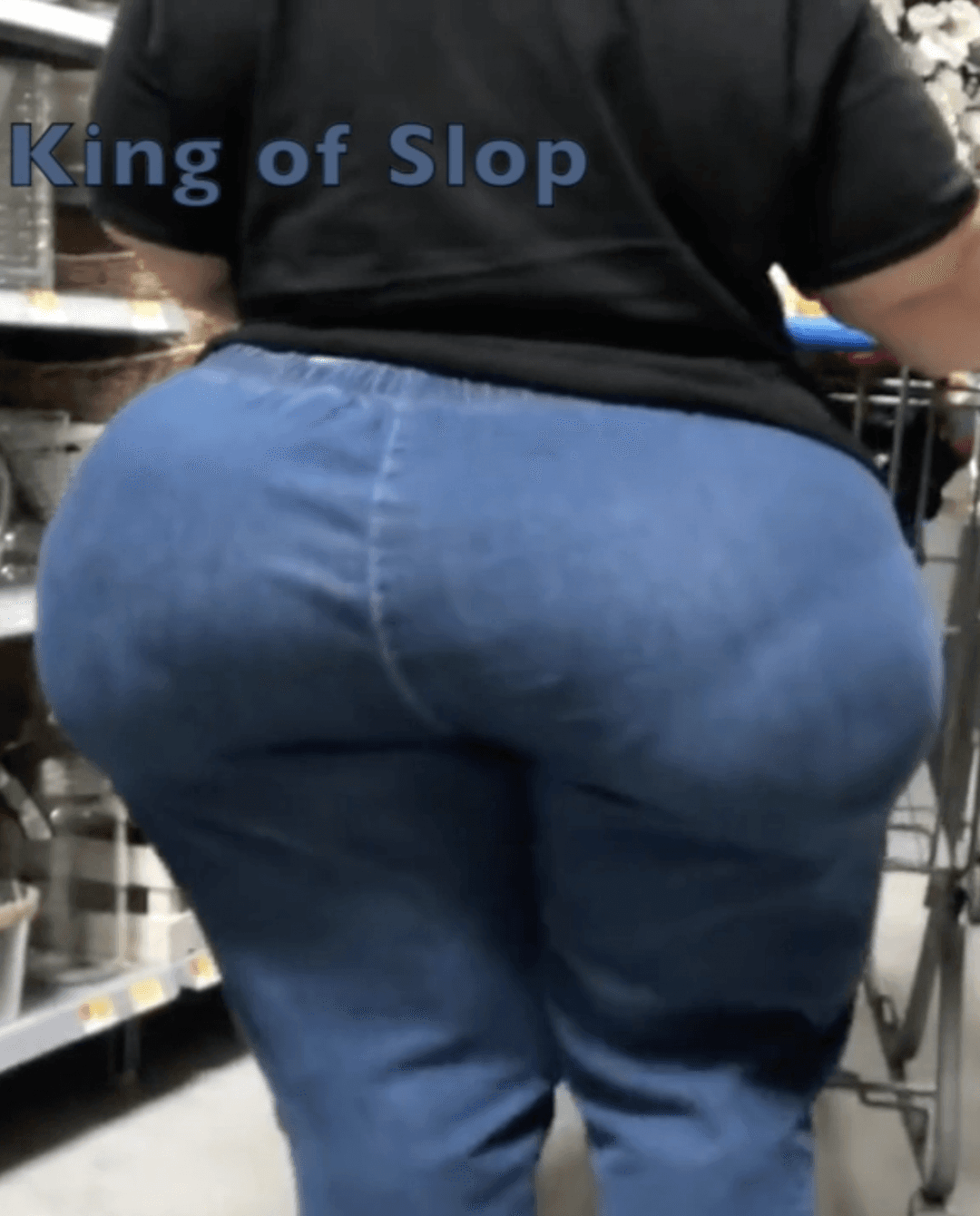 Dry Hump My Big Sloppy SSBBW Ass In Public