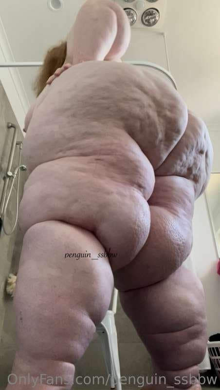 ssbbw penguin