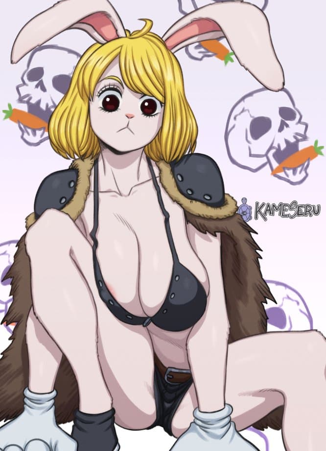 Carrot #1 (One Piece)