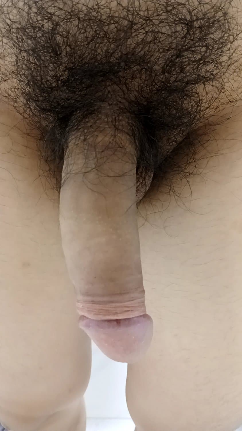 Korean dick 한국 자지