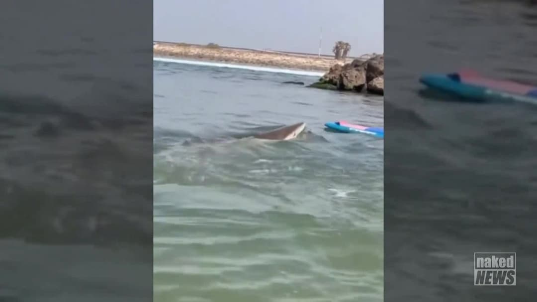 Naked News 2024.11.24