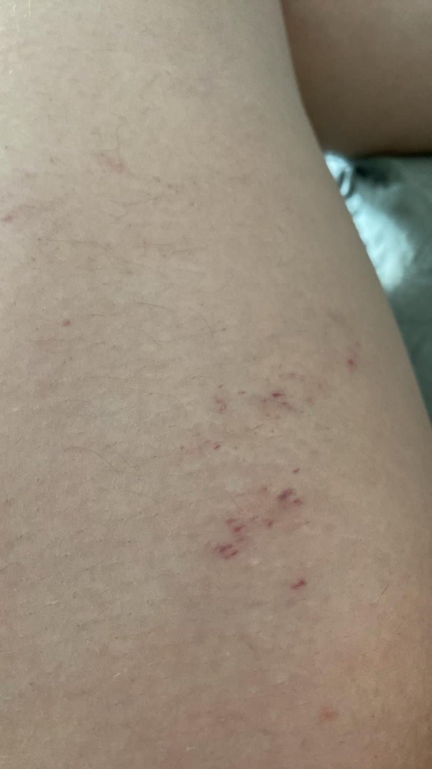 Danish painslut Rebecca