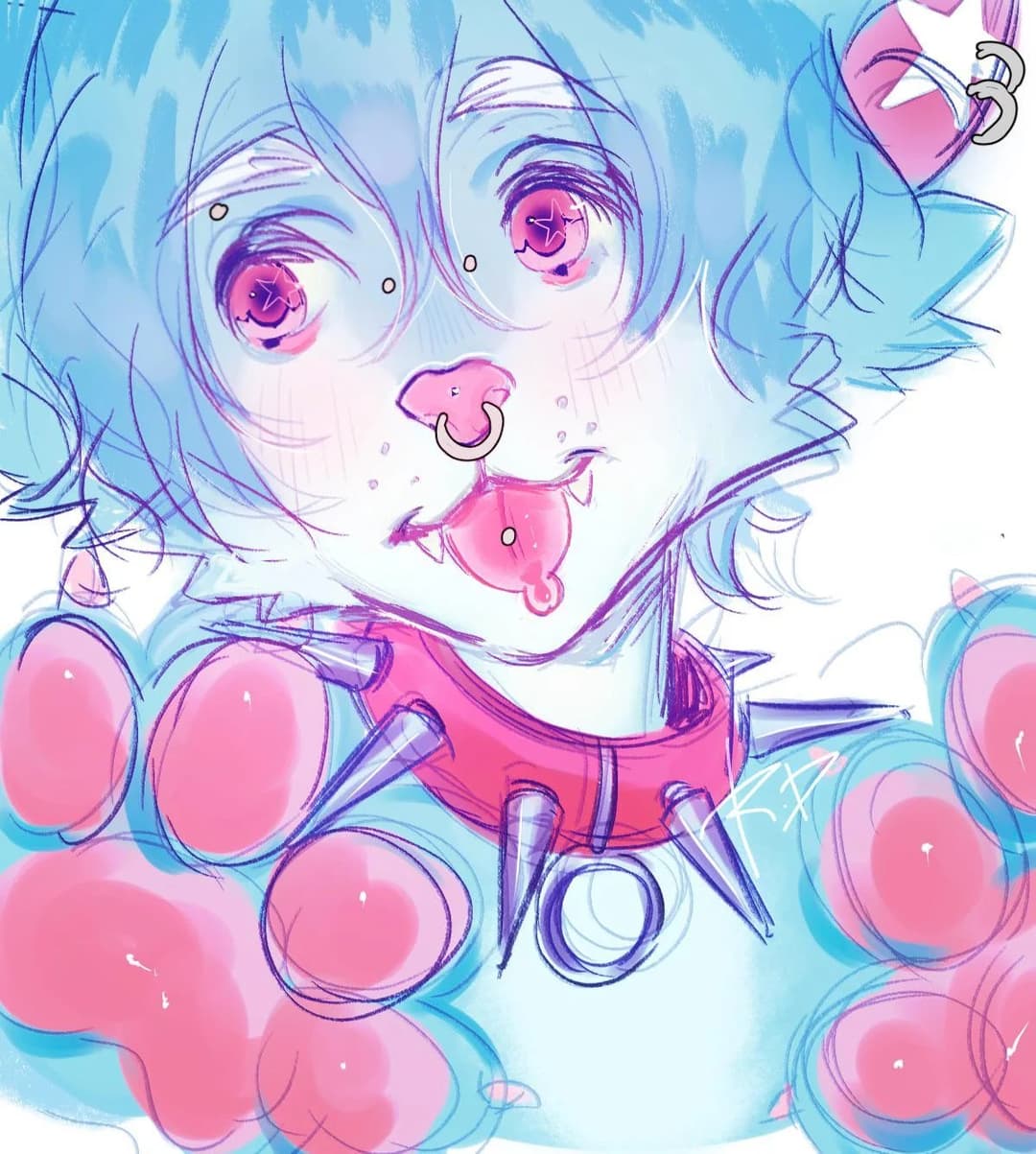 FURRY PAWS FURRY PAWS FURRY PAWS