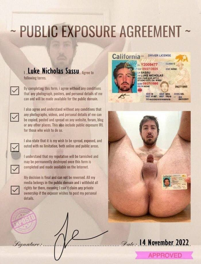 Faggot Luke Sassu PEA