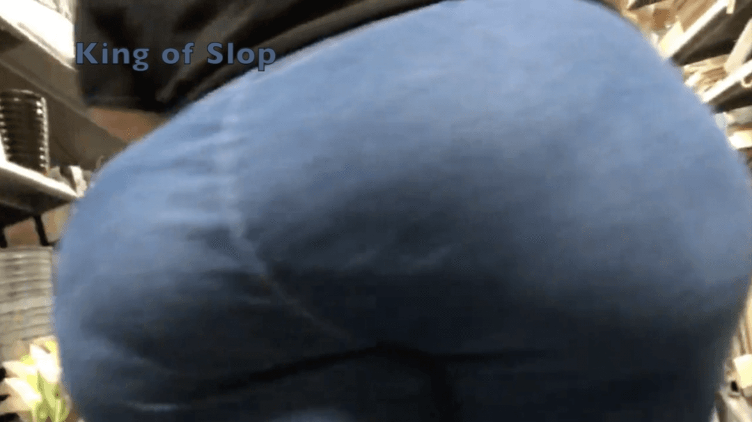 Dry Hump My Big Sloppy SSBBW Ass In Public