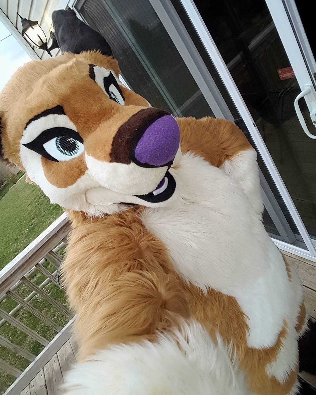 [FURRY] ?? infamous shiba/deer murrsuiter sex tapes (fřëÿäśħîbê)