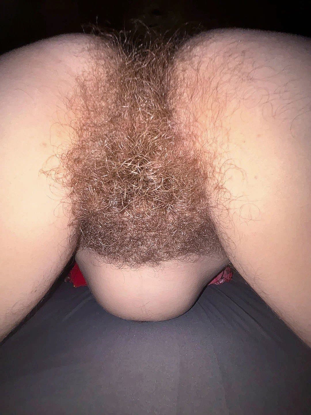 Click to view full size Never have Never will