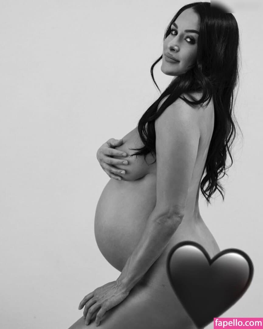 Nikki bella Brie bella