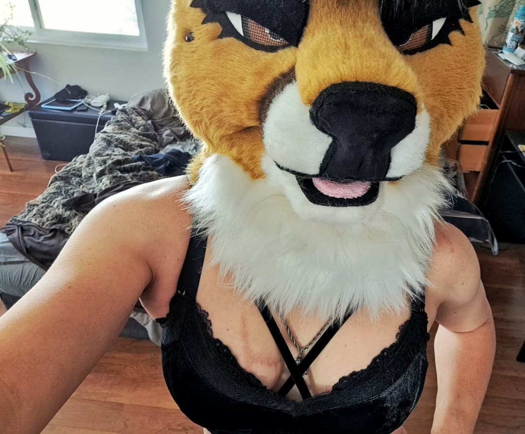 [FURRY/GAS] ?? deer fursuiter teasing and having gas (ļôťûșľâfâŵń/jǎčķâļșťŷļê)