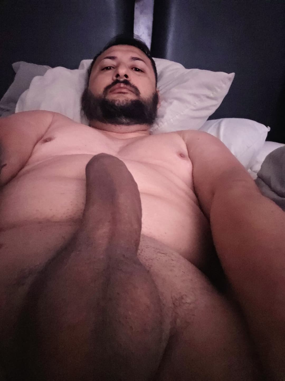 Big Brown Bi Bottom Cock