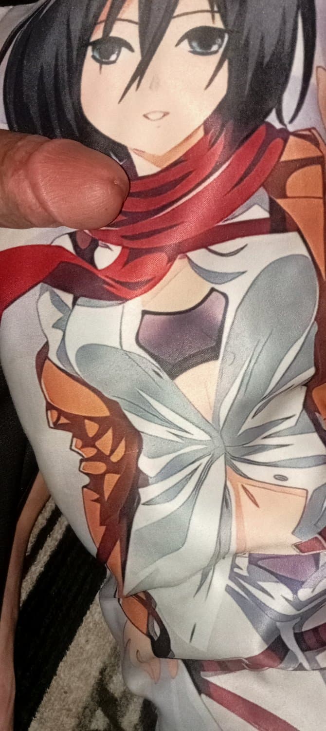 Mikasa dakimakura            Please share
