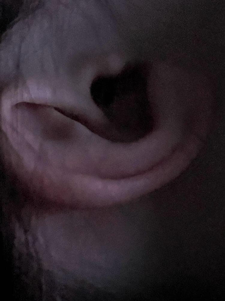 Slut with a gaping ear to be teased