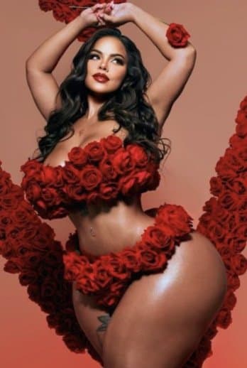 Pernas e pes da gracie ebon