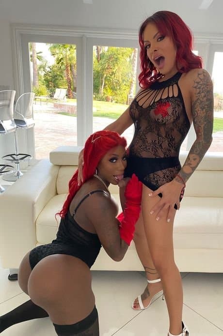 TS FOXXY ?? TGIRL LEGEND ?????????