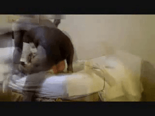 Husband films wife with black bull