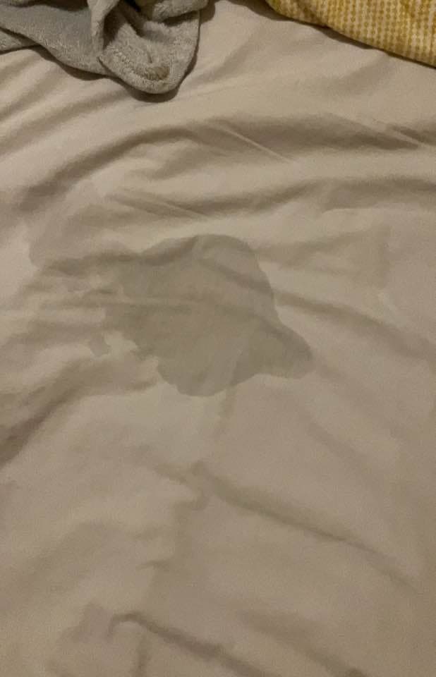 Stupid pig trying to impress me