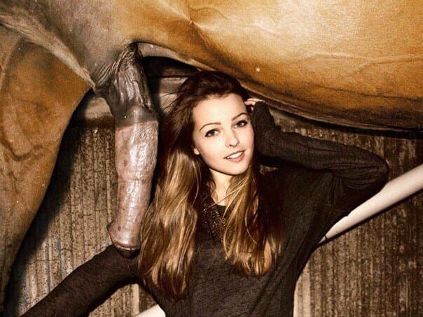 Fuck it, straight UP horse sex! God I love horse cocks