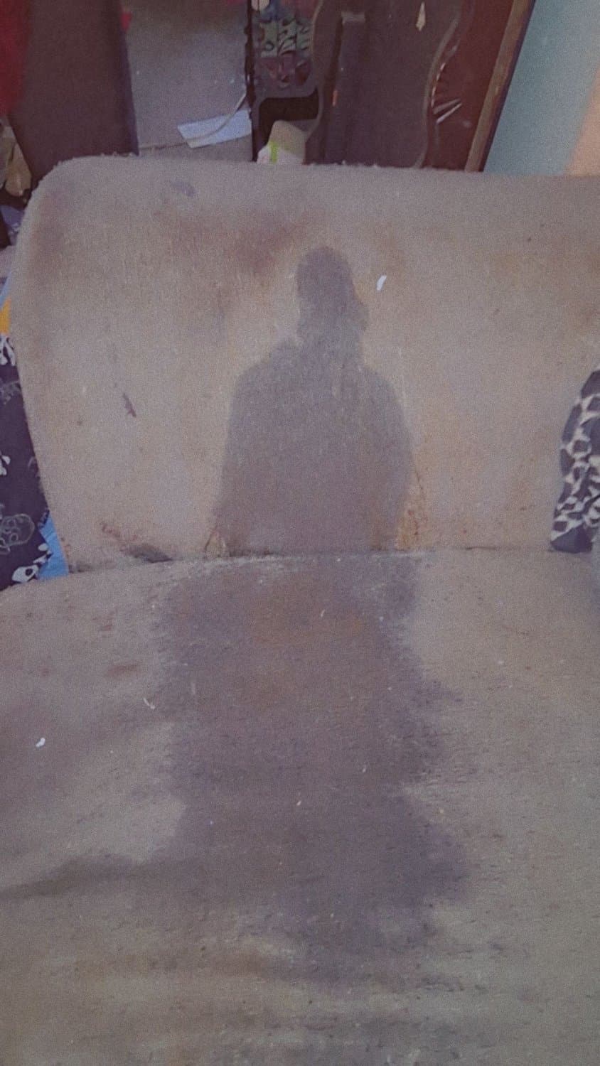 living room couch piss