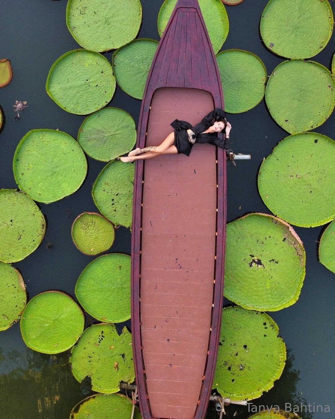 A study in contrasts: soft light, strong tattoos ✨✨✨ ┴ɐuʎɐqɐɥʇᴉuɐ