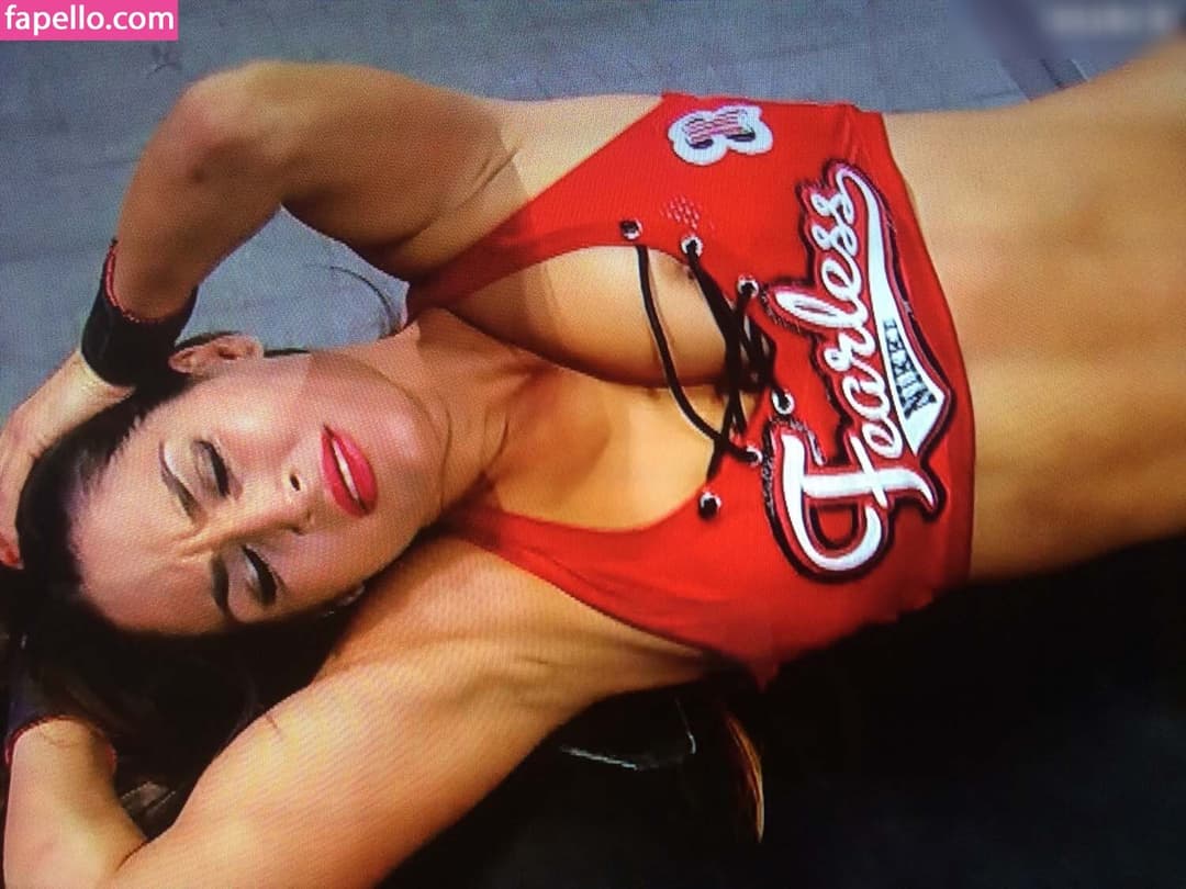 Nikki bella Brie bella