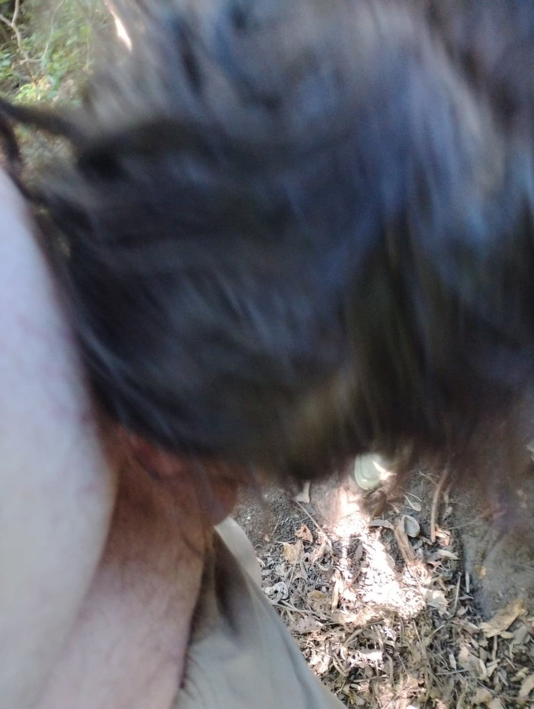 Shawna the preggo crack rat vids coming soon