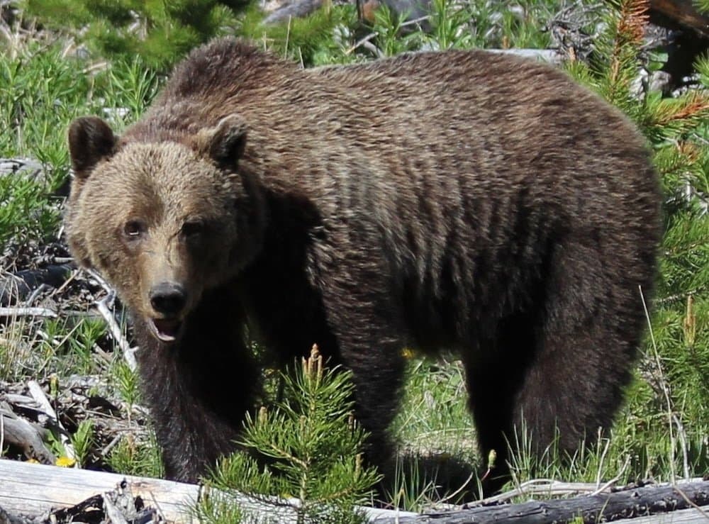Pinay Philippines Filipina Filipino