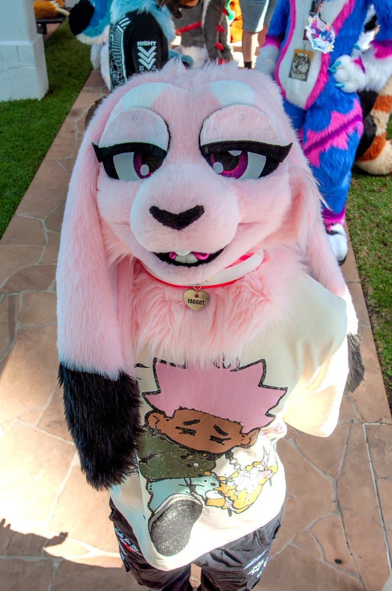 [FURRY] ??? Australian femboy with pink bunny fursuit (bňüŷÿbüņș/ĦöppëřĦöpș_)