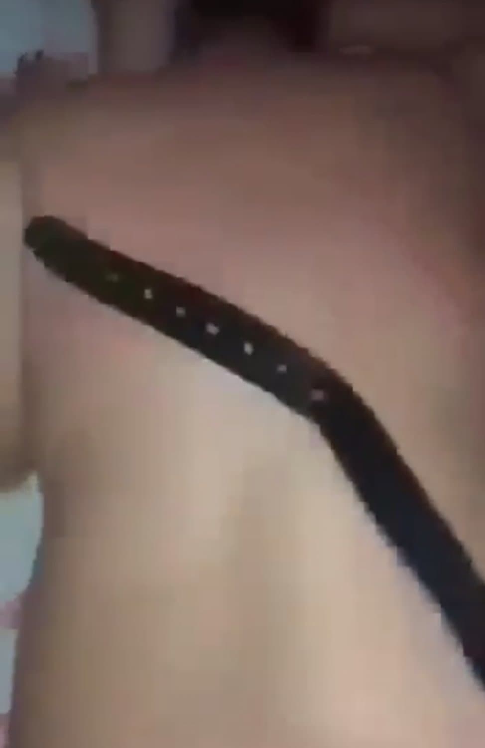 Casada safada dando o cu e apanhando de cinto do comedor