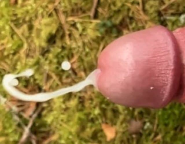 Lingerie outdoor whit cumshot. Kommer efter skogsrunk i lingerie.