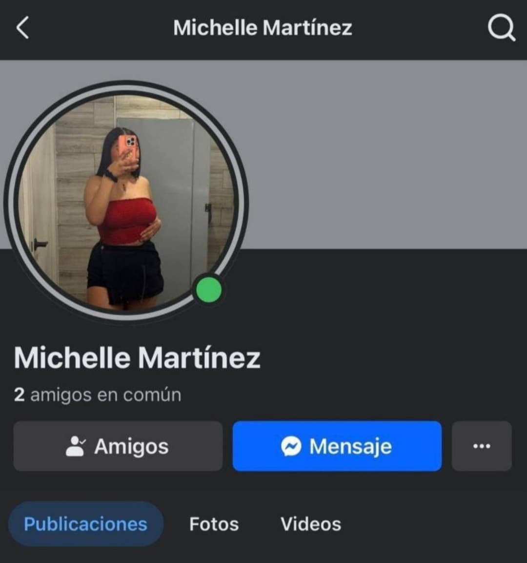 Michelle Martínez Ciudad Juárez aportes al perfil