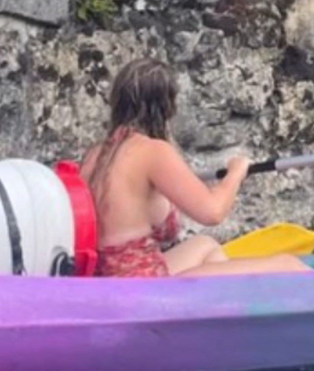 Chienne française exposé