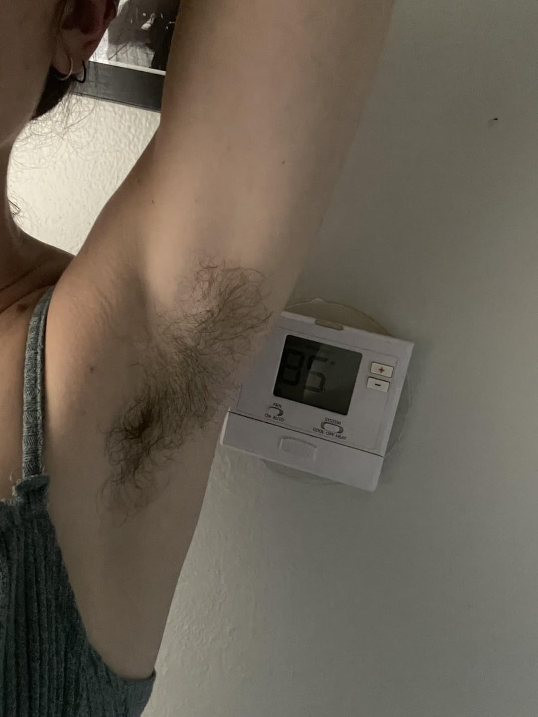 sweaty hairy armpits chic