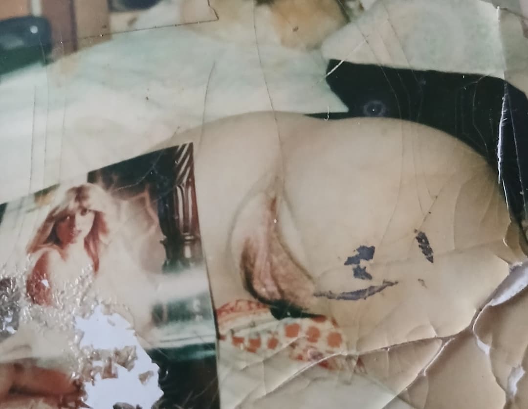 Click to view full size Cunts/CUNTS/WHORE CUNTS/FUCKIN WHORE CUNTS !