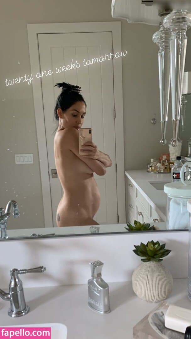 Nikki bella Brie bella