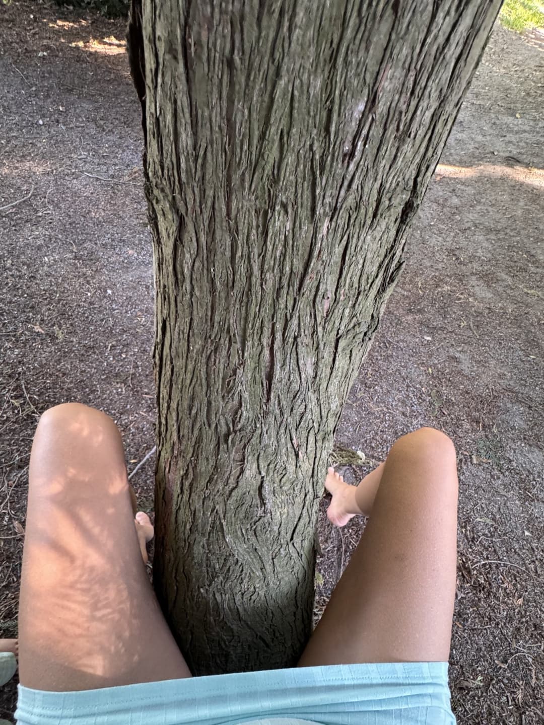 Against the tree or on the ground I think both