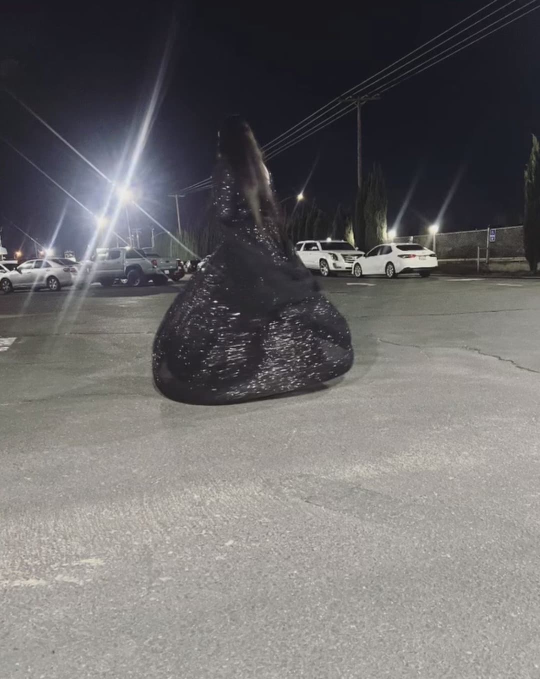 Sexy NRI Indian teen with ugly face but biggest ass ever ??