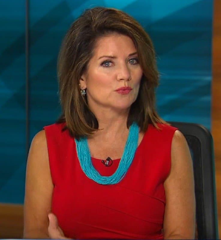 Alix Kendall TV News Milf