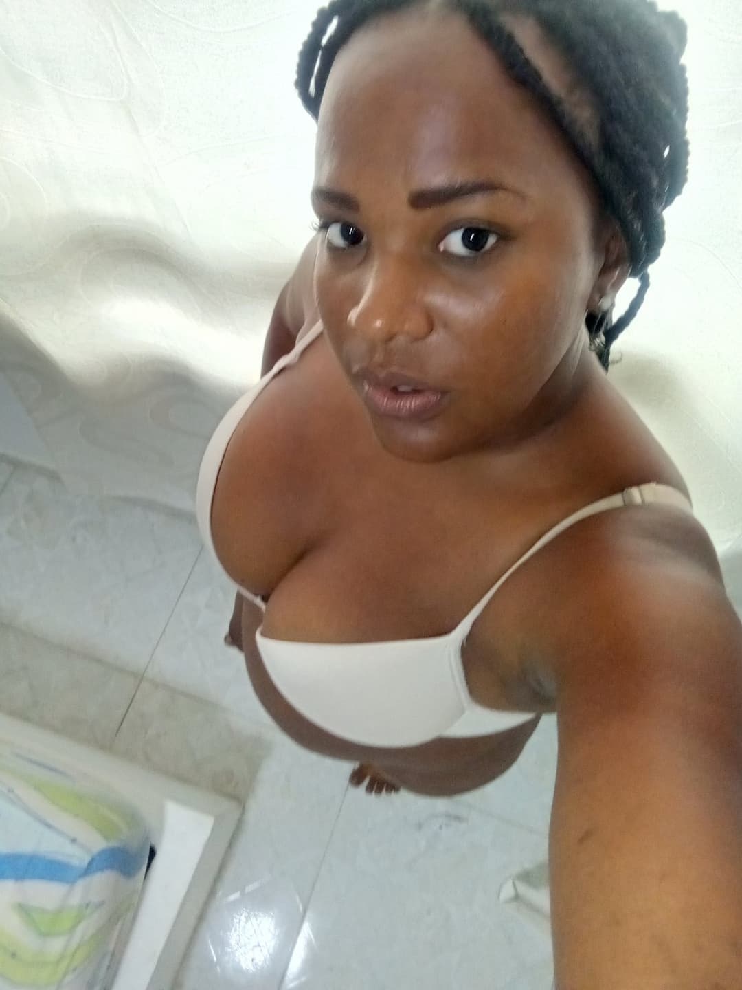 PERRITA DE CARTAGENA COL