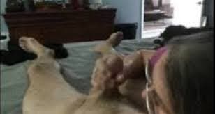 Wanted, extremely well hung BBC for breeding party to knock up my wife, Celine