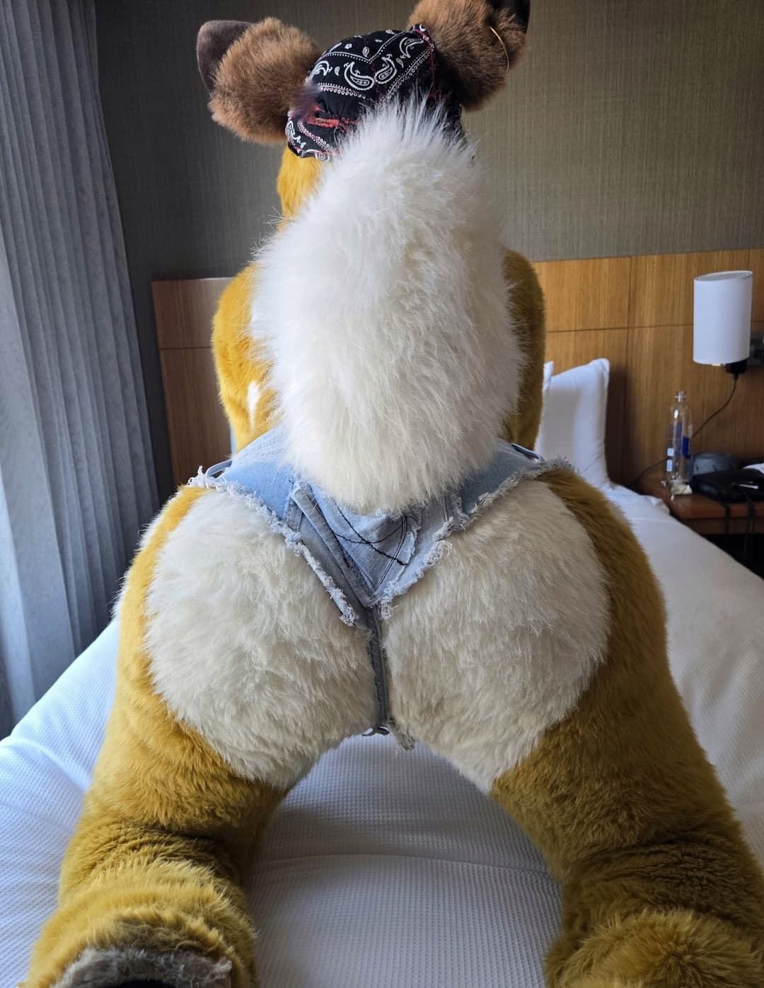 [FURRY/GAS] ?? deer fursuiter teasing and having gas (ļôťûșľâfâŵń/jǎčķâļșťŷļê)