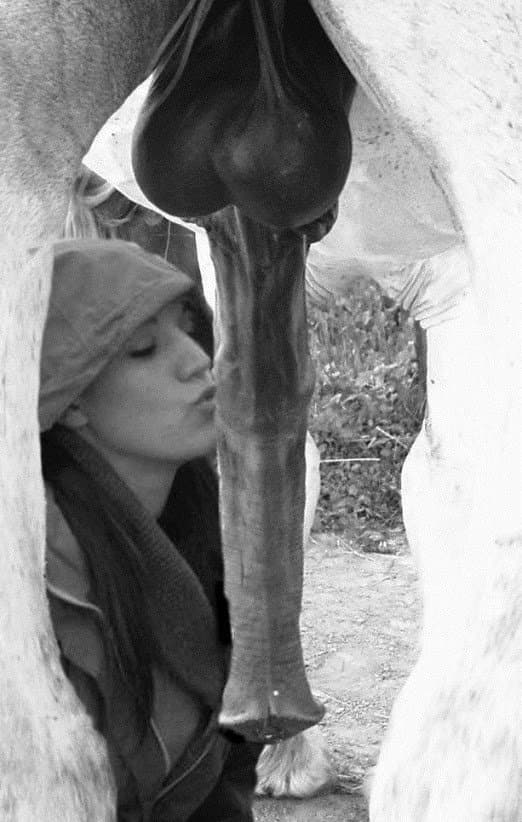 Fuck it, straight UP horse sex! God I love horse cocks