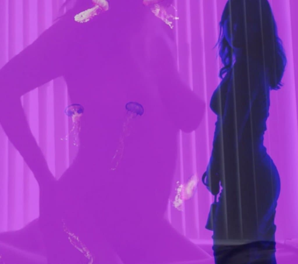 Gorgeous Busty Asian Fucked doggystyle on hike